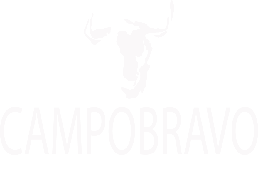 CampoBravo